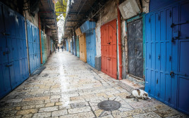 העיר העתיקה בירושלים (צילום: יונתן זינדל, פלאש 90)