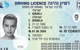 רישיון נהיגה (אילוסטרציה) (צילום: משרד התחבורה)