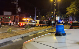 חשד לרצח כפול בדליית אל כרמל (צילום: דוברות המשטרה)