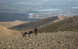 בקעת הירדן (צילום: פלאש 90)