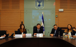 הוועדה המסדרת בכנסת (צילום: דוברות הכנסת, עדינה ולמן)