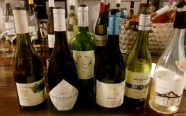 טעימת יינות, שבועות 2020 (צילום: יאיר גת )