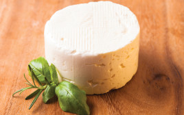 גבינה בולגרית (צילום: אינג אימג')