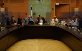 דיון בוועדת החוקה (צילום: עדינה וולמן, דוברות הכנסת)