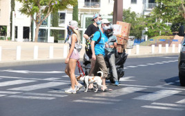 קורונה בתל אביב