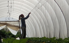 מרב במהלך ההתנדבות במשק