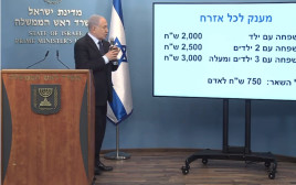 ראש הממשלה נתניהו מציג את תכנית "מענק לכל אזרח" (צילום: צילום מסך)