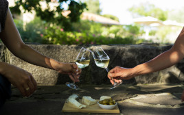 חתונה לבנה, יקב רמת הגולן   (צילום: אבנר אלקרס)