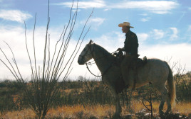 מדינת אריזונה בארה"ב