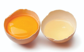 ביצה, אילוסטרציה (צילום: אינג אימג')