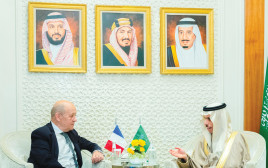 פגישתם של שר החוץ הצרפתי והסעודי (צילום: רויטרס)