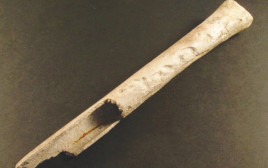 כלי נגינה העשוי מעצם ירך אנושית (צילום: Wiltshire Museum)