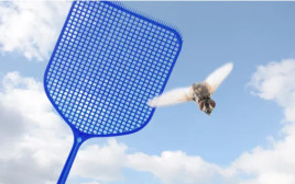 מחבט זבובים, אילוסטרציה