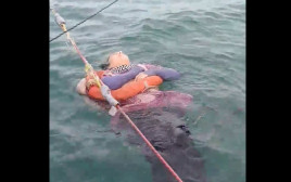 אנג'ליקה גייטן, הנעדרת שנמצאה בלב הים