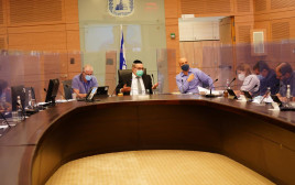 הדיון בוועדת החוקה (צילום: דוברות הכנסת)