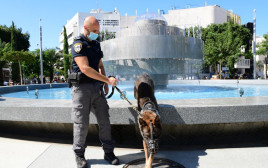 סיוע בכלבי משטרה באכיפת הסגר  (צילום: אבשלום ששוני)