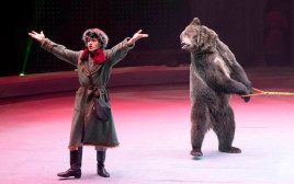 הדוב והמאלף בקרקס ברוסיה (צילום: האתר הרשמי של הקרקס - The Great Moscow Circus)