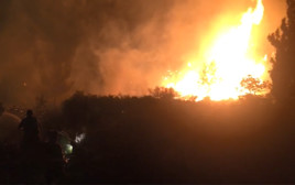 השריפה בנוף הגליל