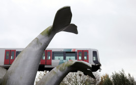 רכבת נתקעה על פסל של זנב לוויתן (צילום: רויטרס)