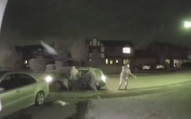 זריקת גופות הארנבים החולנית על בית 