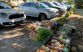 בתמונה: חלוקת מזון בקייפטאון במסגרת מיזם Jready של הסוכנות היהודית בסיוע אפליקציה שפותחה בישראל (צילום: באדיבות JCS)