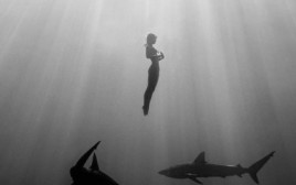 דוגמנית הפלייבוי ששחתה עם כרישים בעירום