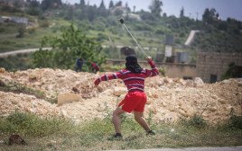 פלסטיני מיידה אבנים (צילום: פלאש 90)