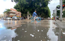 חורף (צילום: אבשלום ששוני)