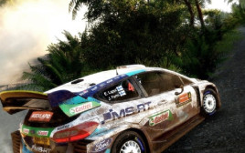WRC9 (צילום: יח"צ)