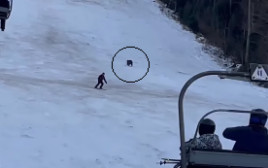 דוב רדף אחרי גולש סקי (צילום: צילום מסך מתוך הפייסבוק)
