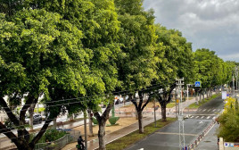 יום מעונן בתל אביב (צילום: אבשלום ששוני)