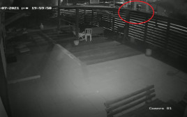הפורץ מתגנב אל הנכס (צילום: צילום מסך,מצלמות אבטחה)