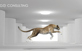 איך לתכנן את הסטארט אפ שלך לפי שיטת "סטארט-אפ רזה Lean Startup"