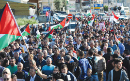 יום האדמה בעראבה, ארכיון (צילום: באסל עווידאת, פלאש 90)