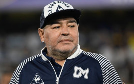 דייגו מראדונה (צילום: Gustavo Garello/Jam Media/Getty Images)