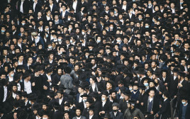 הלוויה חרדית (צילום: יונתן זינדל פלאש 90)