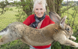 אנט אדוארדס והארנב "הארוך בעולם"