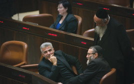 הכנסת (צילום: מרים אלסטר, פלאש 90)