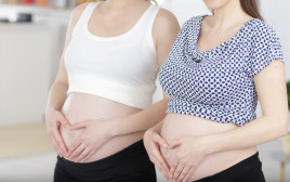 שתי נשים בהיריון, אילוסטרציה (צילום: ingimage ASAP)