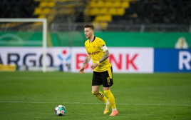 מרקו רויס (צילום: Alexandre Simoes/Borussia Dortmund via Getty Image)