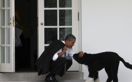 ברק אובמה והכלב בו (צילום: רויטרס)