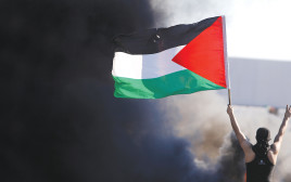 מפגין עם דגל פלסטין (צילום: רויטרס)