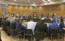 הוועדה המסדרת בכנסת (צילום: נועם מושקוביץ, דוברות הכנסת)