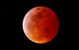 ליקוי הירח מקליפורניה (צילום: רויטרס)