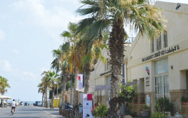 מרכז נא לגעת