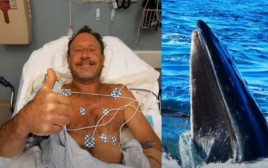 נבלע בידי לוויתן ונשאר בחיים