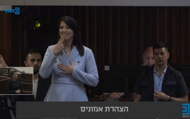 שירלי פינטו, ימינה (צילום: צילום מסך מתוך ערוץ הכנסת)