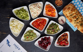 תפריט חדש לפישופ