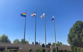 דגל הגאווה מתנוסס על יד דגל ישראל במשרד החוץ (צילום: צילום מסך מתוך חשבון הפייסבוק של משרד החוץ)