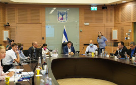 נגיד בנק ישראל פרופ' אמיר ירון בוועדת הכלכלה (צילום: דני שם טוב, דוברות הכנסת)